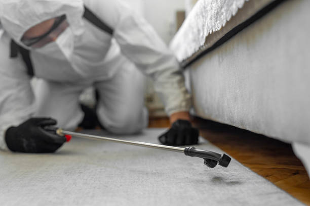 Professional Termite Control technician working in Boulder Hill, IL