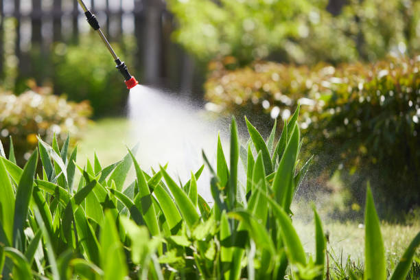 24/7 Emergency Termite Control experts in Boulder Hill, IL